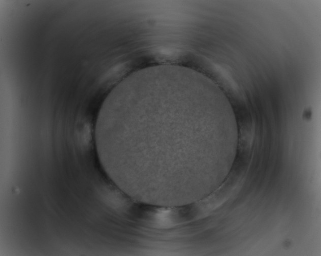 X0000103960130200809261820