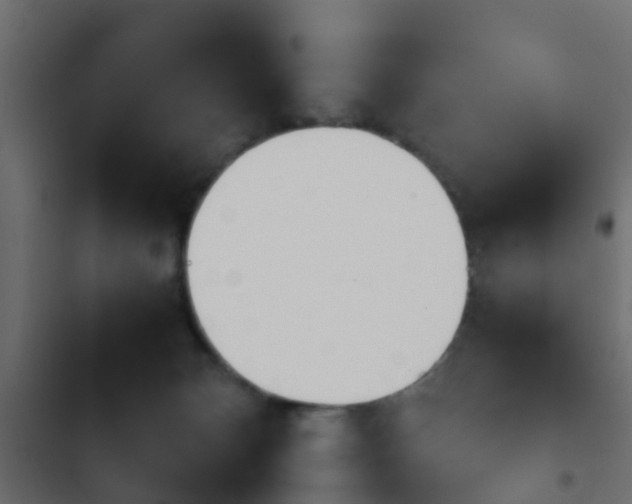 X0000103960132200809261820
