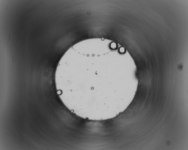 X0000103960133200809261820