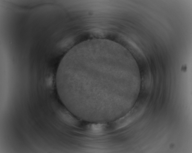 X0000103960134200809261820