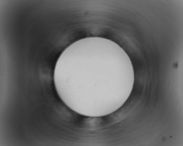 X0000103960135200809261820
