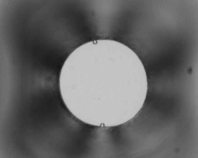 X0000103960136200809261820