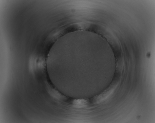 X0000103960137200809261820