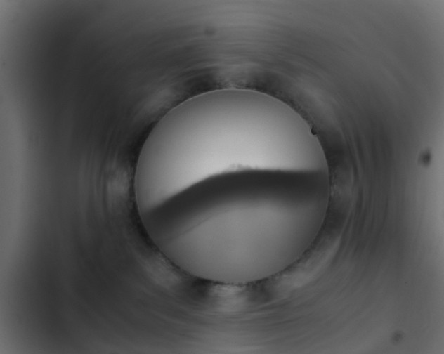 X0000103960139200809261820