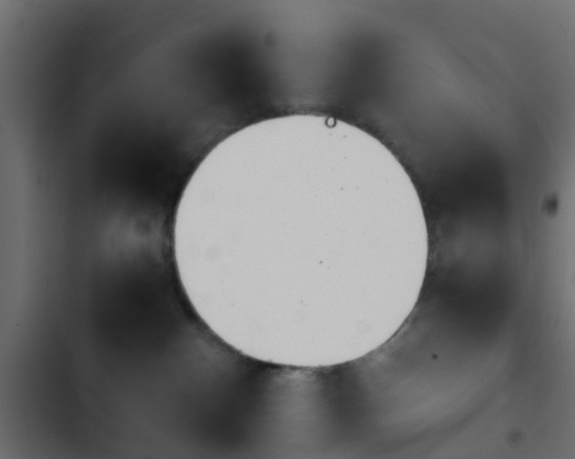 X0000103960140200809261820