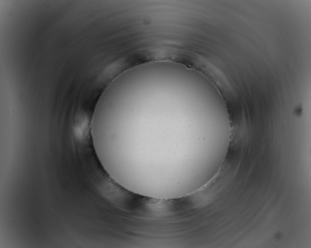 X0000103960142200809261820