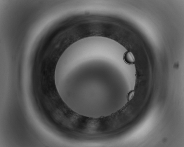 X0000103960143200809261820