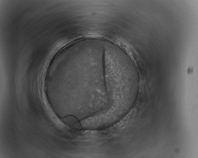 X0000103960145200809261819