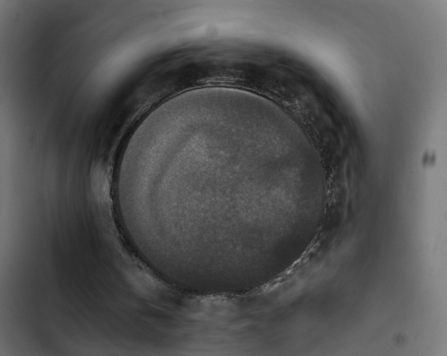 X0000103960146200809261819