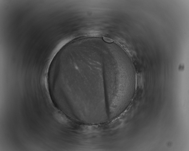 X0000103960147200809261819