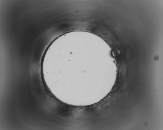 X0000103960148200809261819
