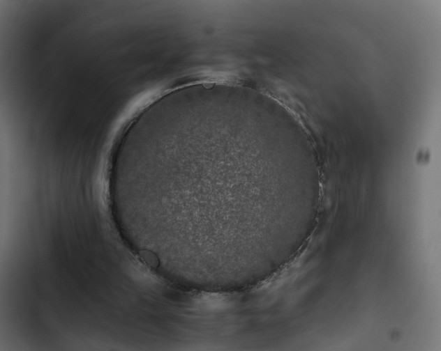 X0000103960149200809261819