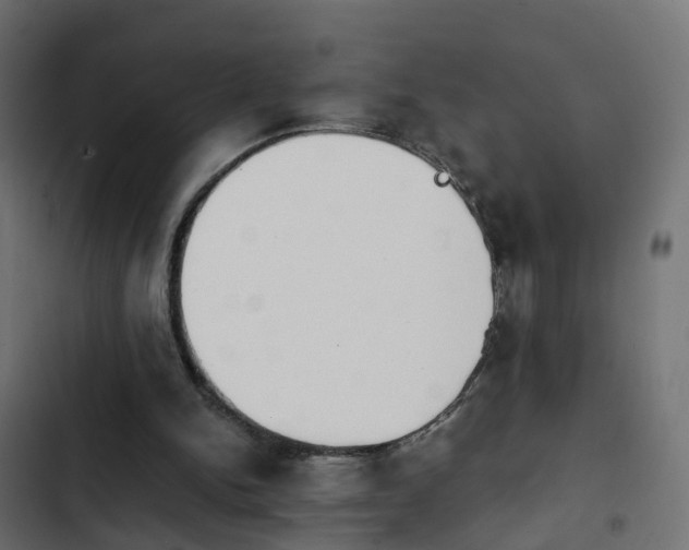 X0000103960150200809261819