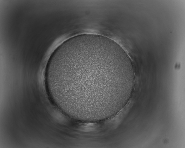 X0000103960151200809261819