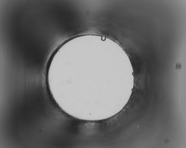 X0000103960152200809261819