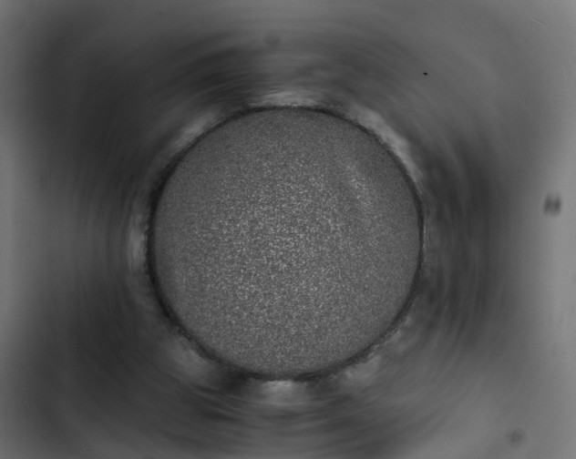 X0000103960153200809261819