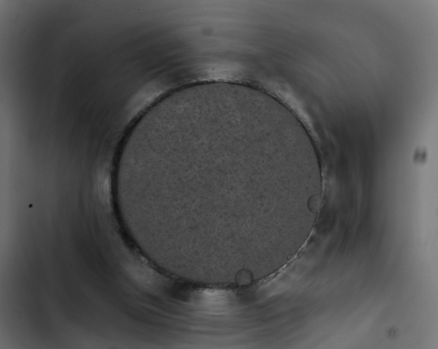 X0000103960154200809261819