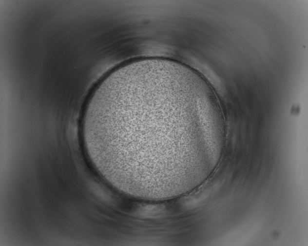 X0000103960155200809261819