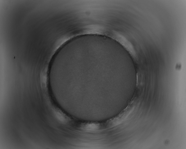 X0000103960156200809261819
