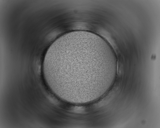 X0000103960157200809261819