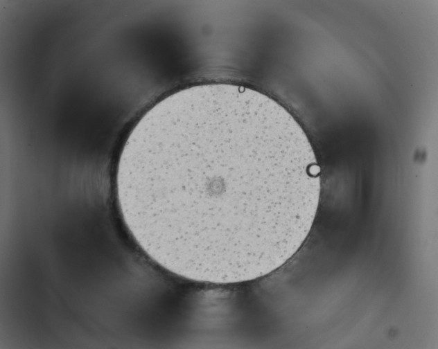 X0000103960158200809261819