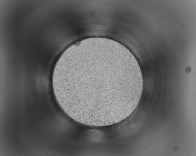 X0000103960159200809261819