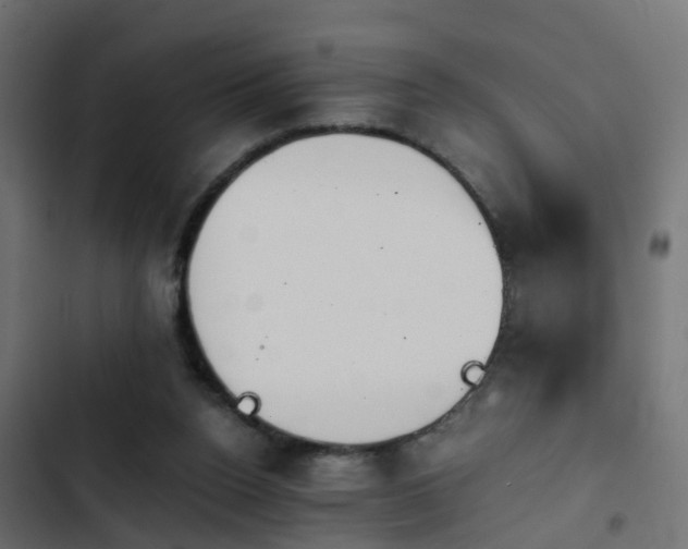 X0000103960160200809261819