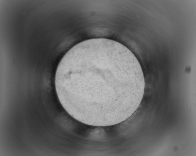 X0000103960162200809261819