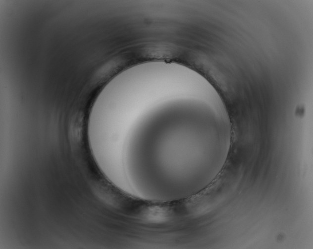 X0000103960163200809261819