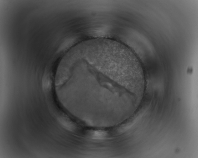 X0000103960165200809261819