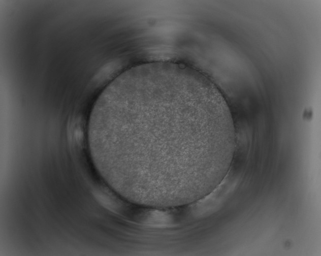 X0000103960166200809261819