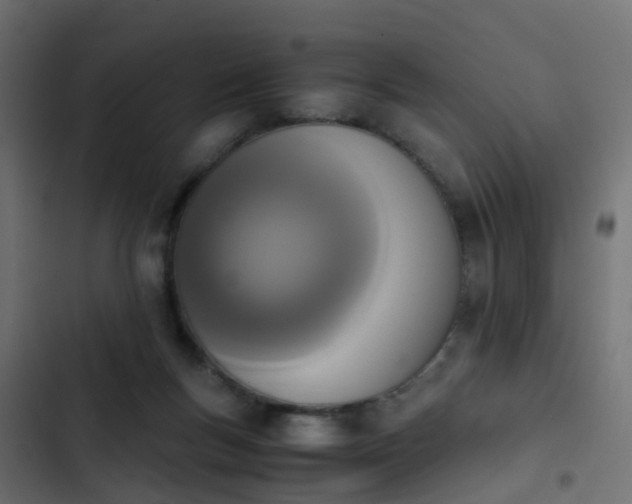 X0000103960167200809261819