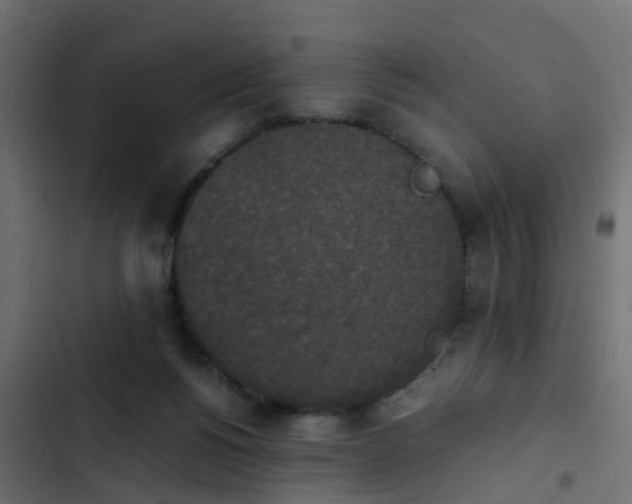 X0000103960168200809261819
