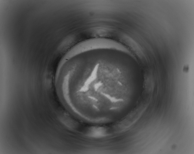 X0000103960169200809261819