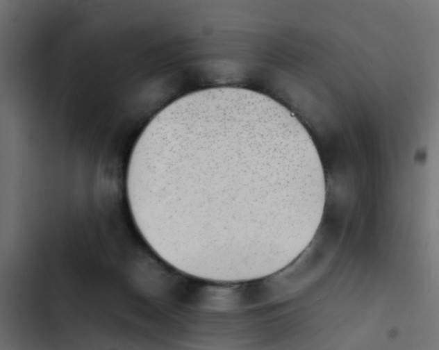 X0000103960170200809261819