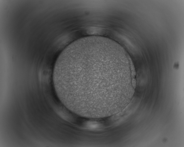 X0000103960171200809261819