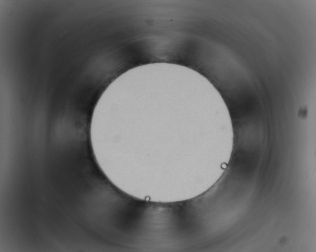 X0000103960174200809261819