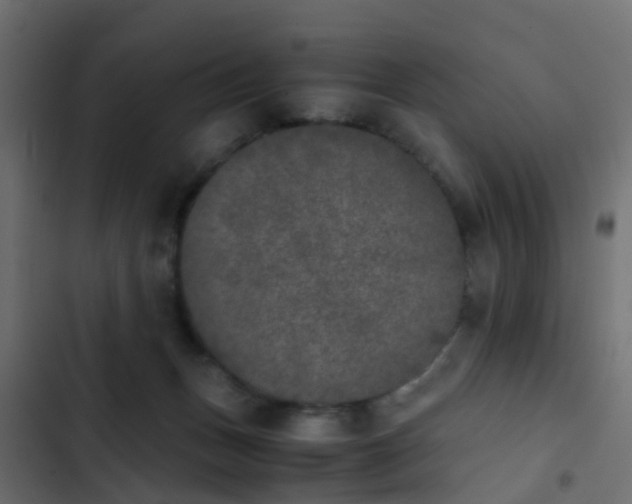 X0000103960175200809261819