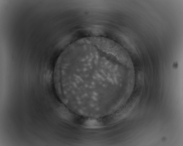X0000103960177200809261820