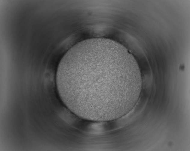 X0000103960178200809261820