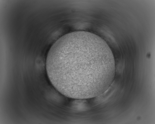 X0000103960179200809261820