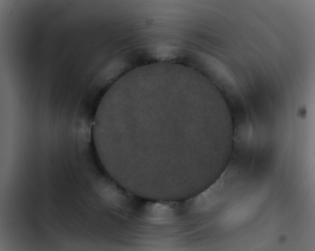 X0000103960180200809261820
