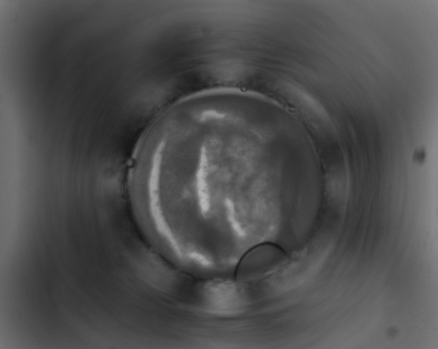 X0000103960181200809261820