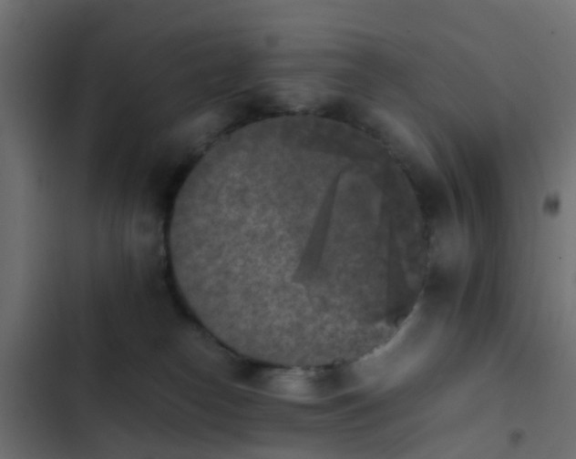 X0000103960182200809261820