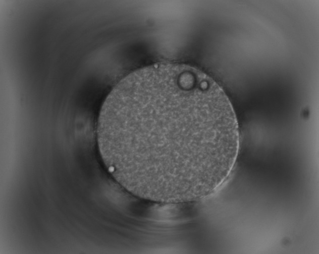 X0000103960186200809261820