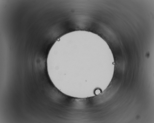 X0000103960188200809261820