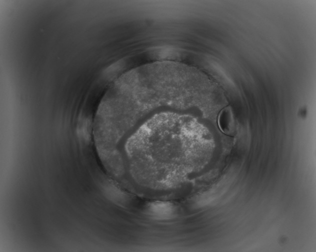 X0000103960189200809261820