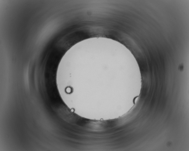 X0000103960190200809261820