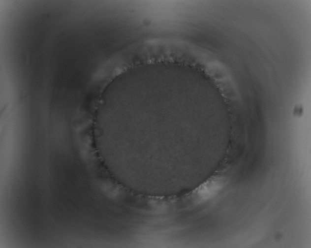 X0000103960192200809261820