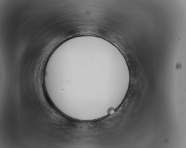 X0000103960193200809261819